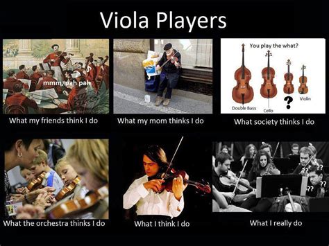 viola players | Classical music humor, Music humor, Music jokes