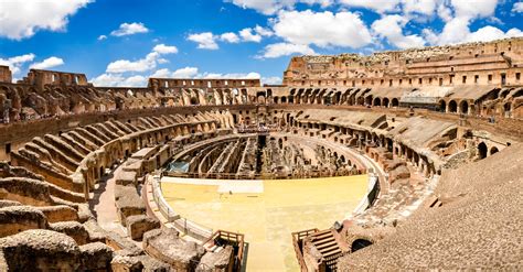 Ancient Snacks and Animal Bones Found in the Colosseum's Sewers