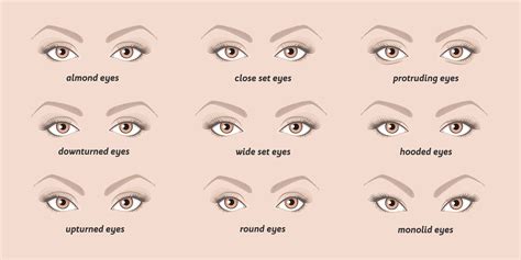 Guide: How To Do Winged Eyeliner Perfectly Every Time | CollegeTimes.com