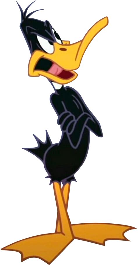 Daffy Duck (Looney Tunes Show) Vector 1 by ToonAniMexico15 on DeviantArt