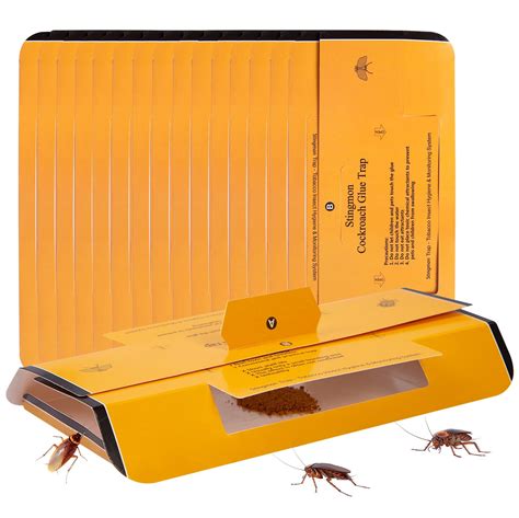 Buy 12 Pack Roach Trap, Cockroach Trap, Roach Killer Indoor Infestation ...