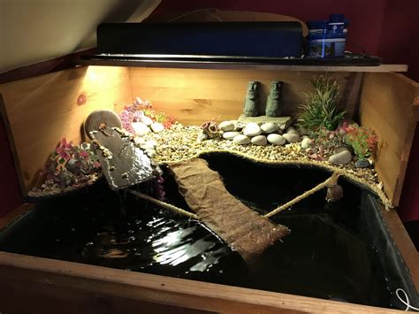 Turtle Basking Area, Turtle Pond, Box Turtle, Turtle Tank Ideas Diy ...