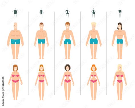 Vettoriale Stock Female body types vector illustration. Body types slim ...