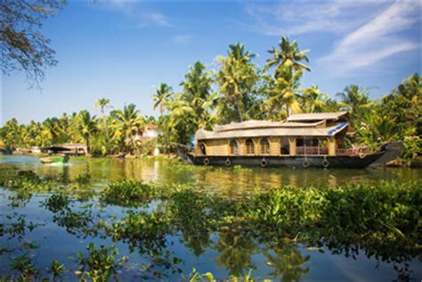 Kochi Backwaters | Things to do in Cochin