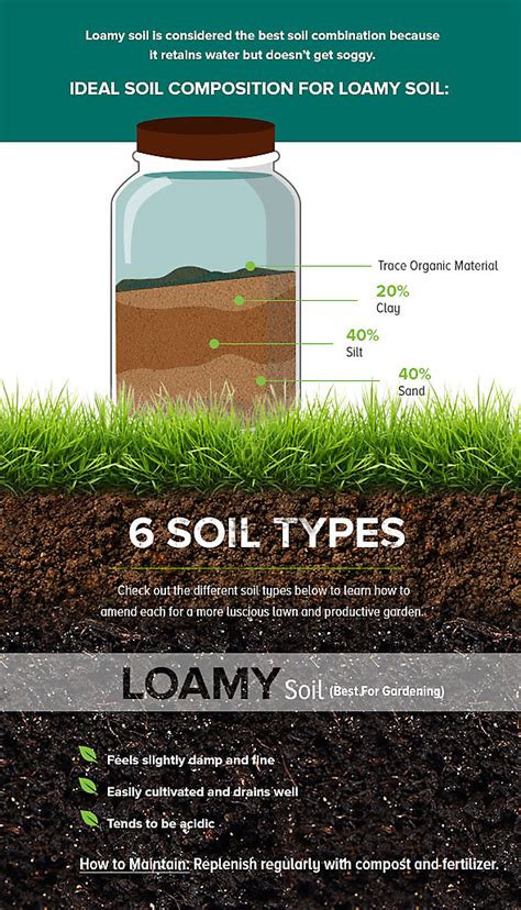 Garden Loam Soil | Fasci Garden