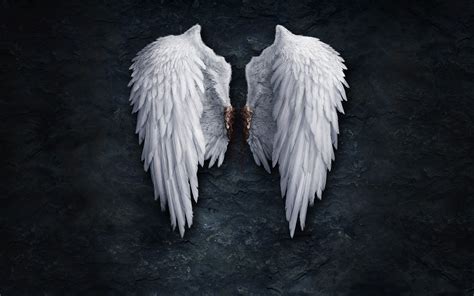 Realistic Angel Wings Angel wings - 1920x1200