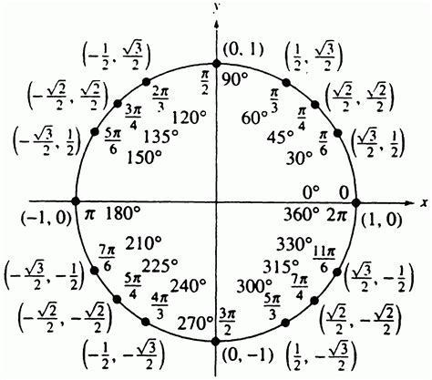 Unit Circle Print Out