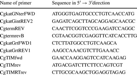 List of DNA primers used in this work | Download Table