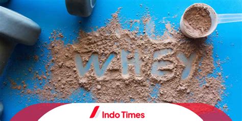 10 Susu Whey Protein Terbaik untuk Pria dan Wanita - IndoTimes