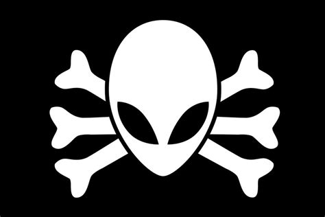 Flag of The Space Pirates by Laz0rBear on DeviantArt