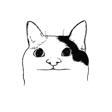 Cat Meme Face Drawing | Cat face drawing, Dog face drawing, Cat memes