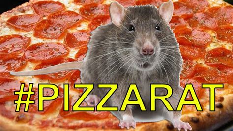 New York PIZZA RAT Desperately Wants To Eat Pizza | What's Trending Now ...