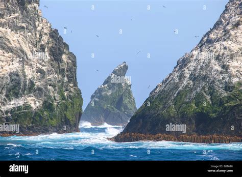 The Shag Rocks, group of islands in the South Atlantic Ocean, South ...