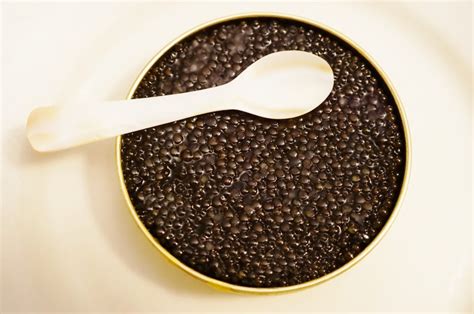 Sturgeon Caviar Facts - American Oceans