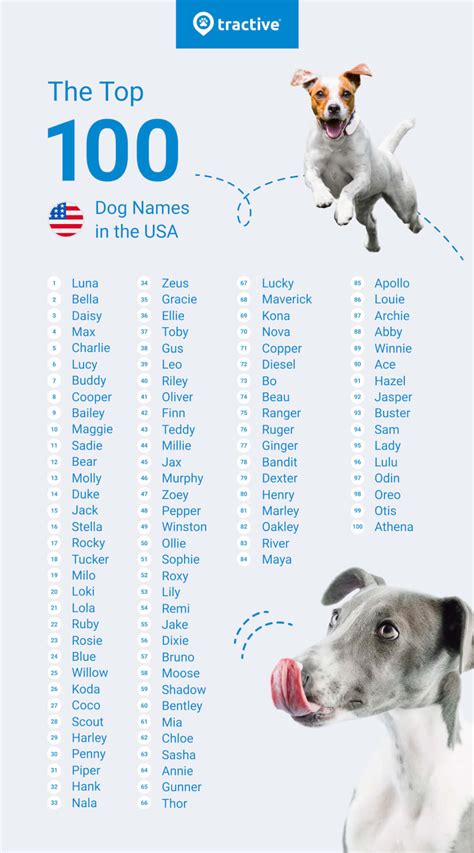 What Are Some Popular Dog Names