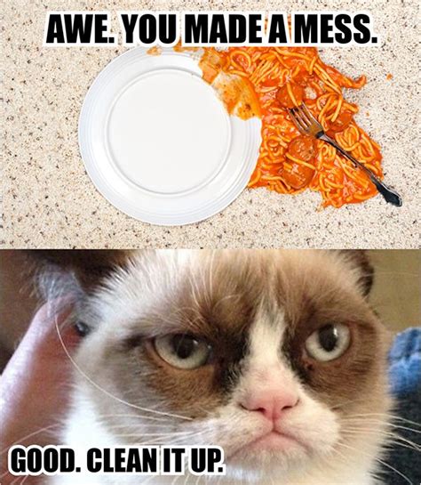 Even Grumpy Cat knows you should "Clean Like A Pro"! www ...