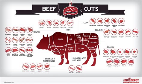 Diagram Of Cow Meat Cuts Of Beef