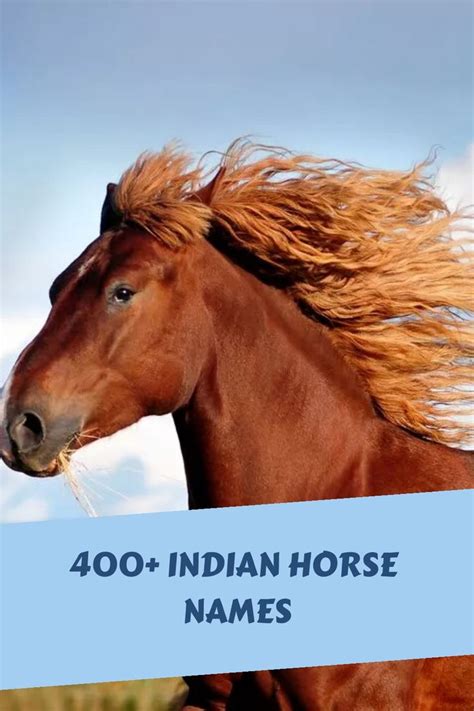 400+ Indian Horse Names | Horse names, Indian horses, Native american ...