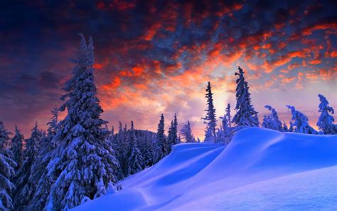 snow, Landscape, Trees Wallpapers HD / Desktop and Mobile Backgrounds