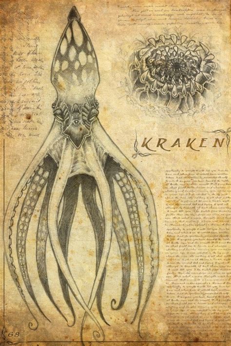 Kraken Mythology Norse - All Gadoes