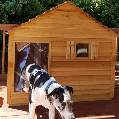 Giant Dog House - Custom Wooden Dog House