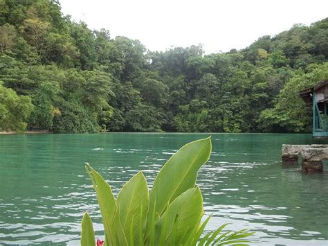 Blue Lagoon, Jamaica the coolest, creepiest place ever :) | Dream ...