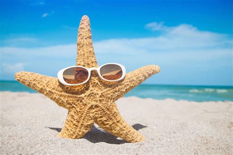 🔥 [40+] Beach and Starfish Wallpapers | WallpaperSafari