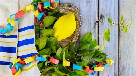 Sukkot — a Jewish celebration of fall! | Articles | CBC Kids