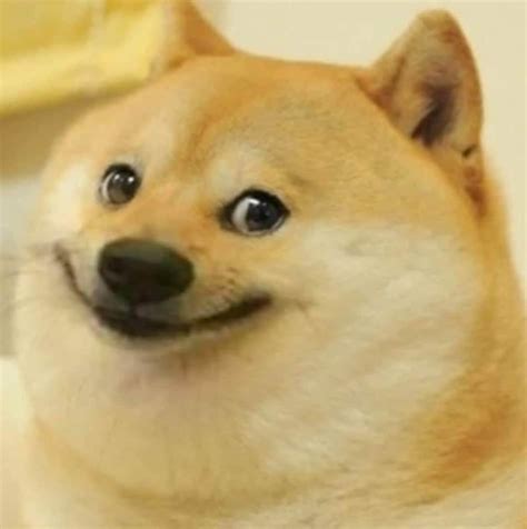 Someone requested for this doge meme template, here it is his name is ...