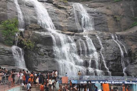 Beautiful facts and attractions in Kutralam falls - Factins