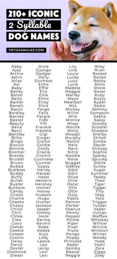 210+ Iconic 2-Syllable Dog Names - Hey, Djangles. | Dog names, Boy dog ...