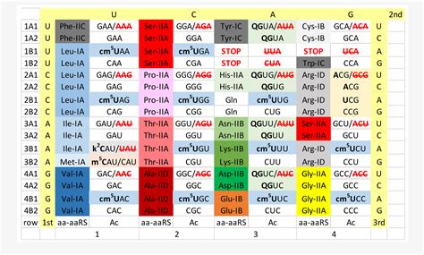 Superwobbling and tRNA-34 Wobble and tRNA-37 Anticodon Loop ...