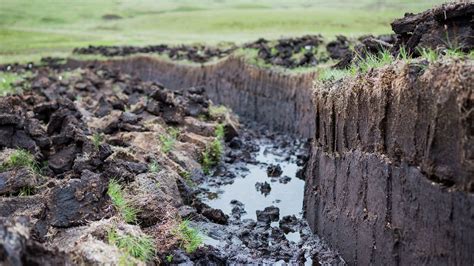 Restoring Scottish Peat to Combat Climate Change: An Update from COP26 ...