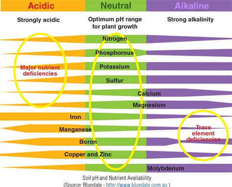 Soil pH and Nutrient Availability - HORIBA