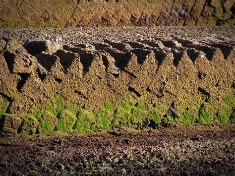 What can peat do for our Environment? Newstalk 'Green Scene' - MaREI