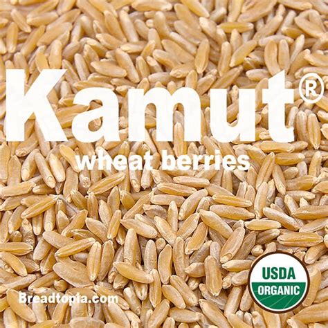 Organic Kamut® Wheat Berries – Breadtopia