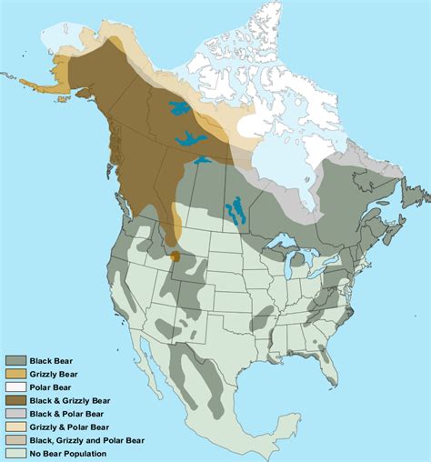 Map of where bears live in North America