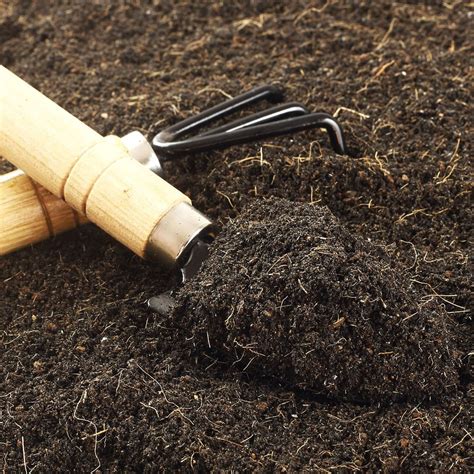 What To Know About Loam Soil for Your Garden | The Family Handyman