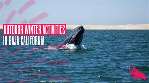 Outdoor Winter Activities in Baja California