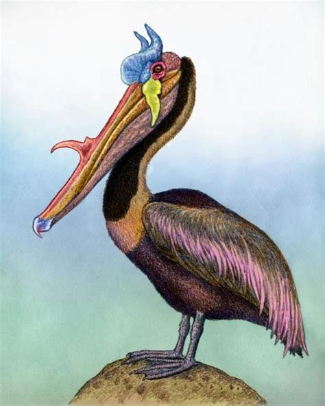 The Horned Pelican of Irkania by WillemSvdMerwe on DeviantArt | Animals ...