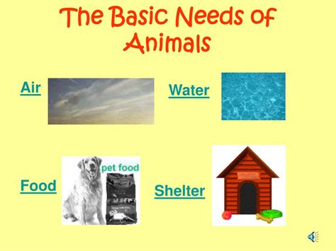 PPT - Animals PowerPoint Presentation, free download - ID:6808666