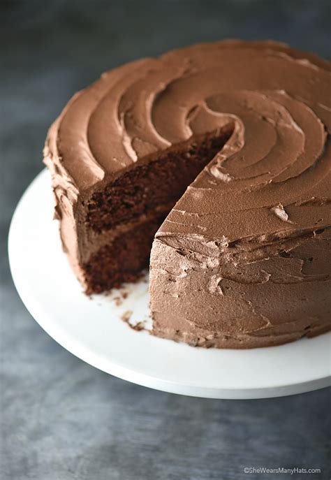 Perfect Chocolate Cake Recipe | She Wears Many Hats