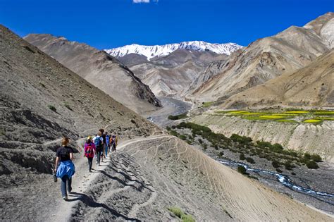 20 Reasons to Fall in Love with Ladakh - A Traveller's Diary