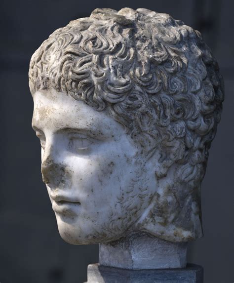 Head of Diomedes. Rome, Capitoline Museums, Centrale Montemartini ...