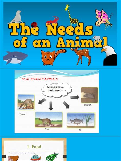 science basic needs of animals