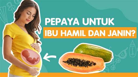 Makanan Berkhasiat Untuk Ibu Hamil - MALAUKUIT