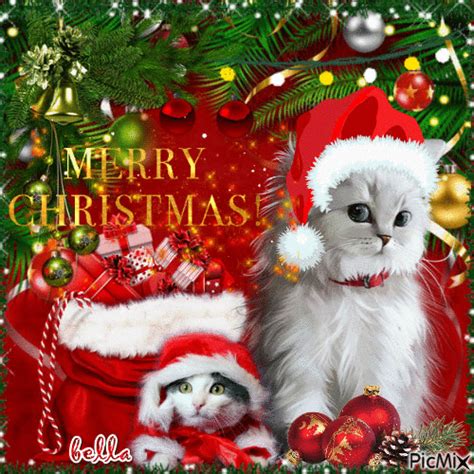 White Kittens Merry Christmas Gif Pictures, Photos, and Images for ...