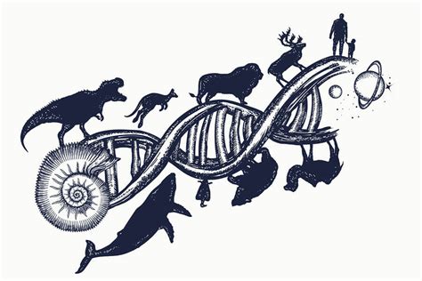 Explainer: Theory of evolution (con imágenes) | Tatuaje de biología ...