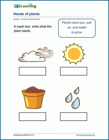 Needs of Plants Worksheet | K5 Learning