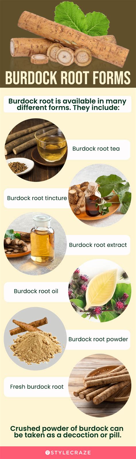 Burdock Root Tea Recipe | Besto Blog